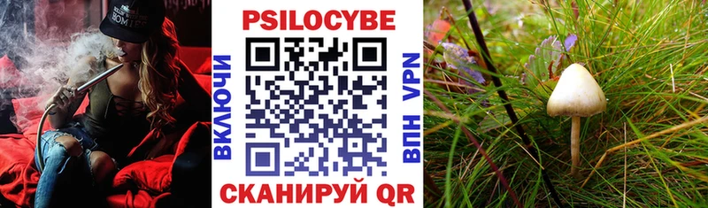 Купить закладки Верхний Тагил Галлюциногенные грибы GOLDEN TEACHER